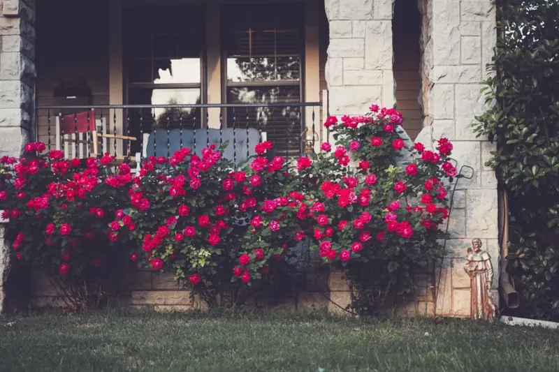 Landscaper at work