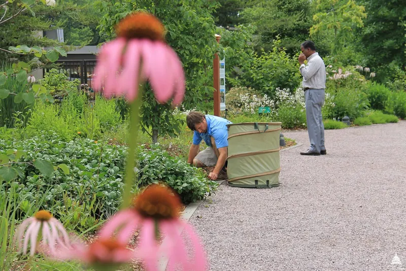 Landscaper at work