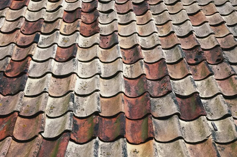 Roofer job photo 4