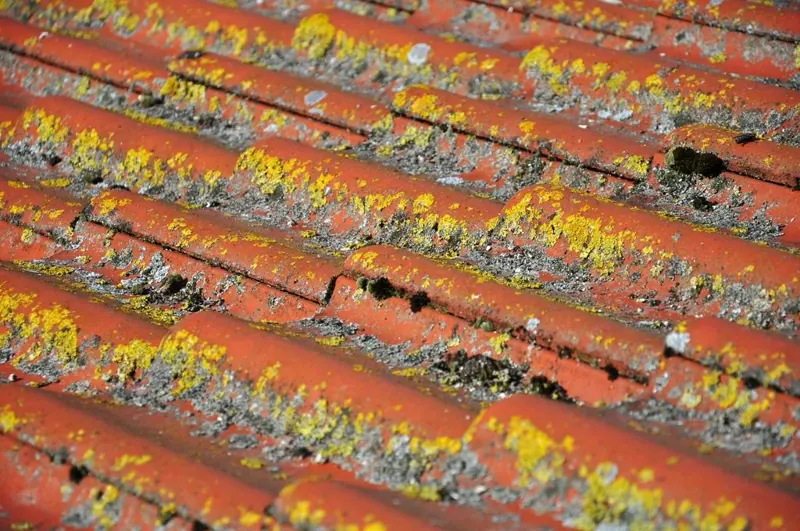 Roofer job photo 5